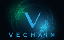 VeChain Staking Guide