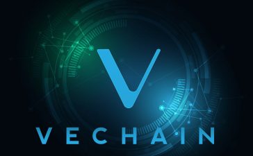 VeChain Staking Guide