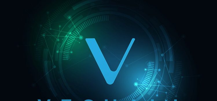 VeChain Staking Guide