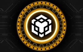 Is It a Good Time to Invest in Binance Coin (BNB)