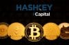 HashKey Capital Ltd. to Maintain 100% Virtual Asset Portfolio