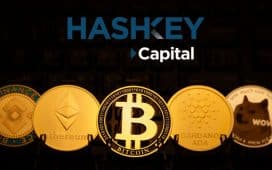 HashKey Capital Ltd. to Maintain 100% Virtual Asset Portfolio